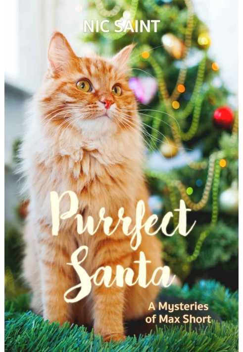 Purrfect Santa