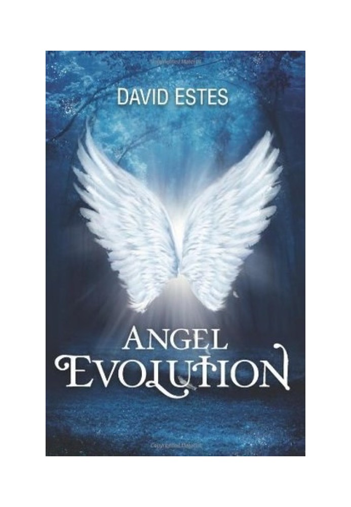 Evolution of Angels