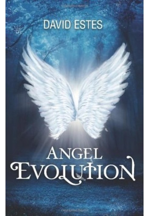 Evolution of Angels