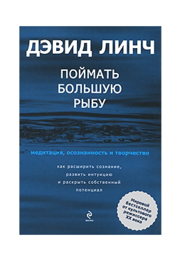 Поймать большую рыбу. Медитация, осознанность и творчество