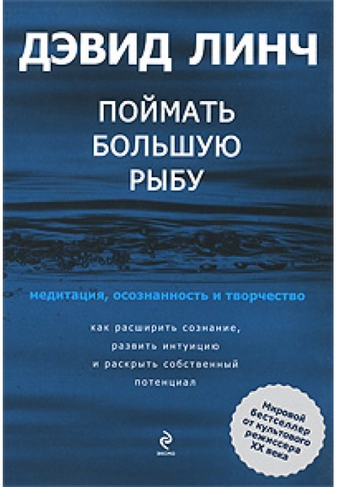 Поймать большую рыбу. Медитация, осознанность и творчество