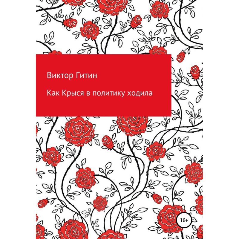 How Krysya got into politics