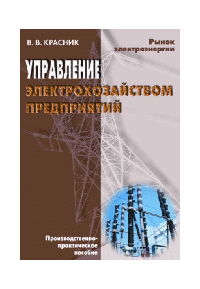 Управление электрохозяйством предприятий