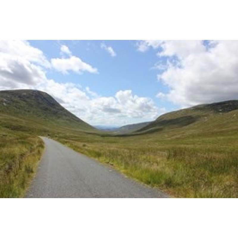 Walker on the Road. Book two