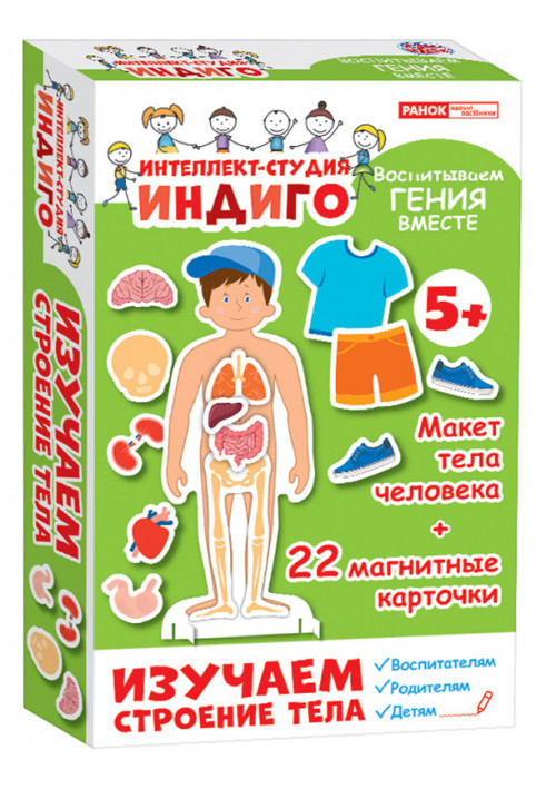 Настольная игра.Индиго.Изучаем строение тела