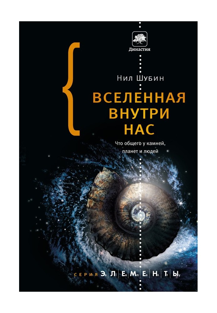 Вселенная внутри нас. Что общего у камней, планет и людей