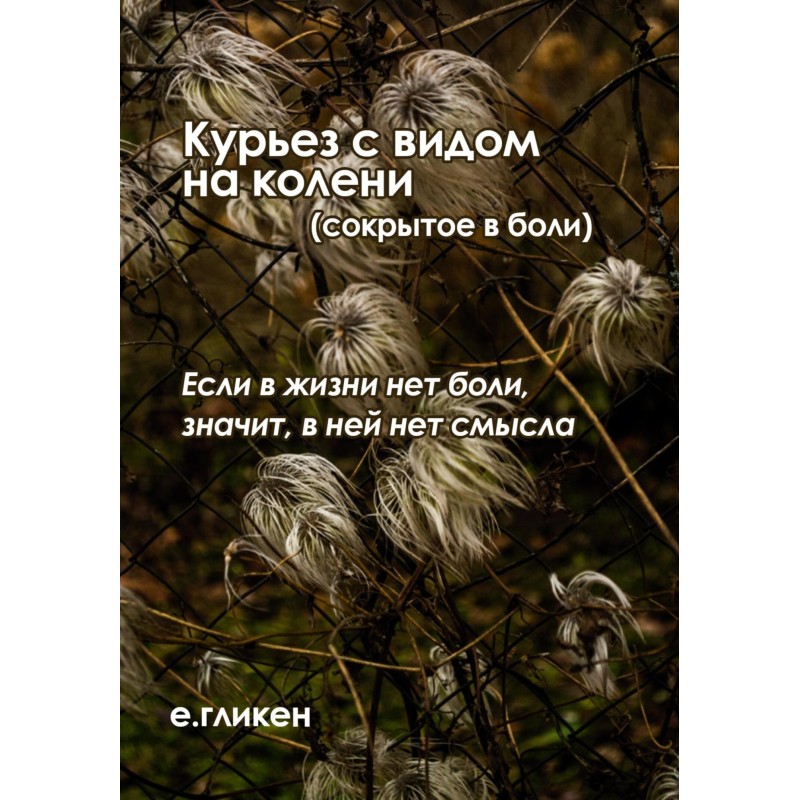 Curiosity with a view of...