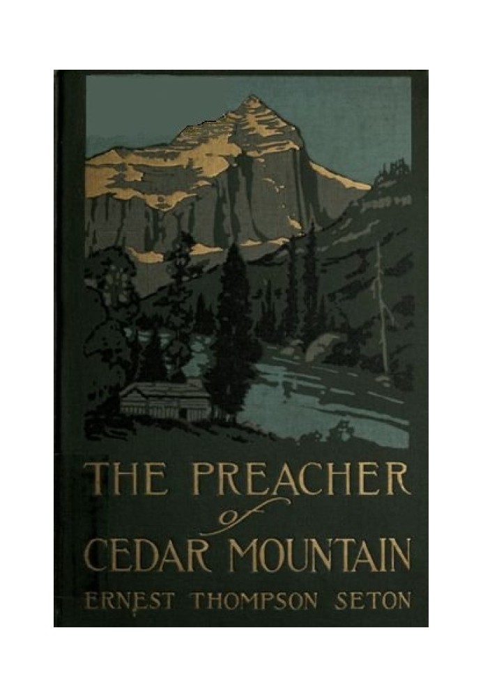 The Preacher of Cedar Mountain