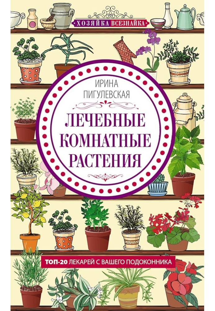 Лікувальні кімнатні рослини. ТОП-20 лікарів з вашого підвіконня