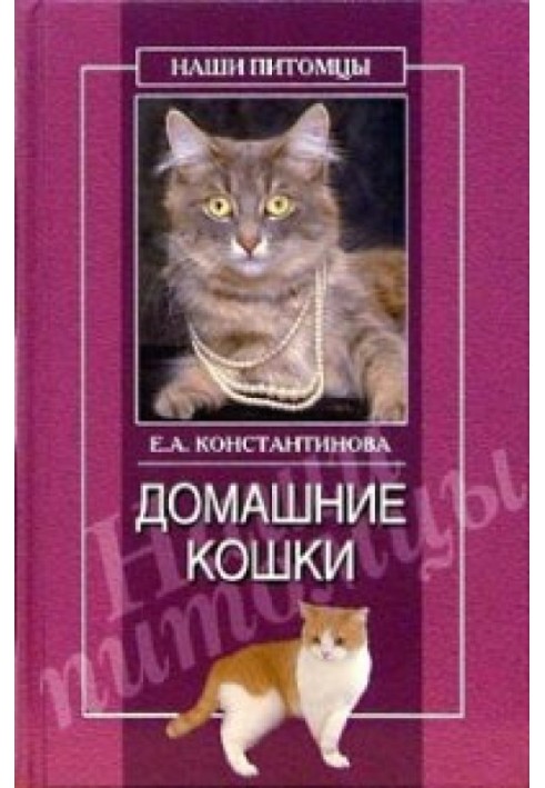 Domestic cats