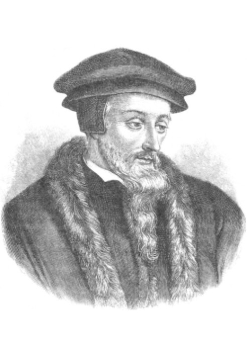 John Calvin. His life and reform activities