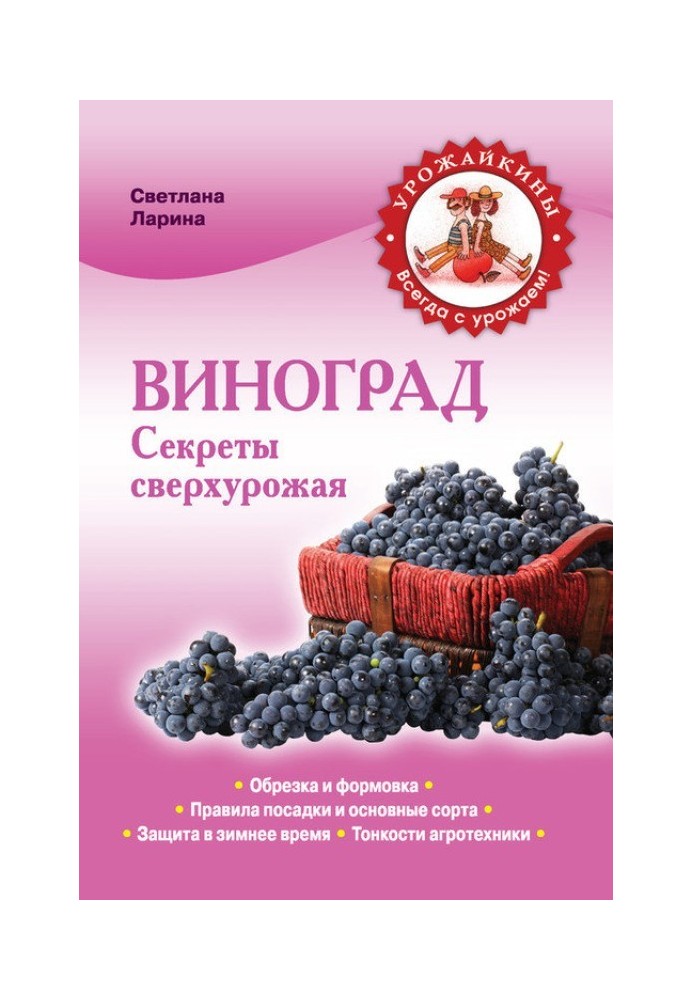 Виноградів. Секрети понадврожаю