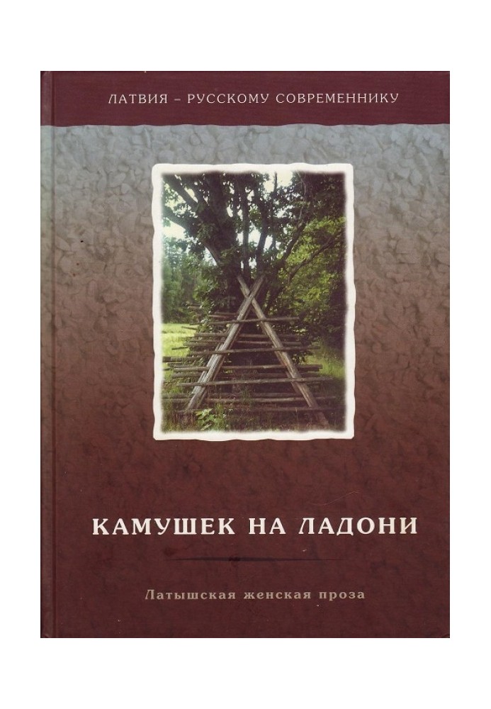 Камушек на ладони. Латышская женская проза