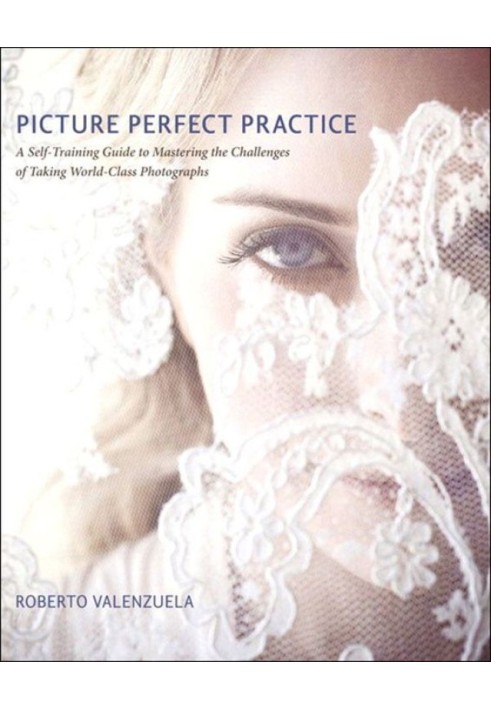 Picture Perfect Practice: A Self-Training Guide to Mastering the Challenges of Taking World-Class Photographs