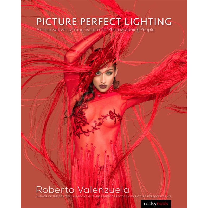Picture Perfect Lighting:...
