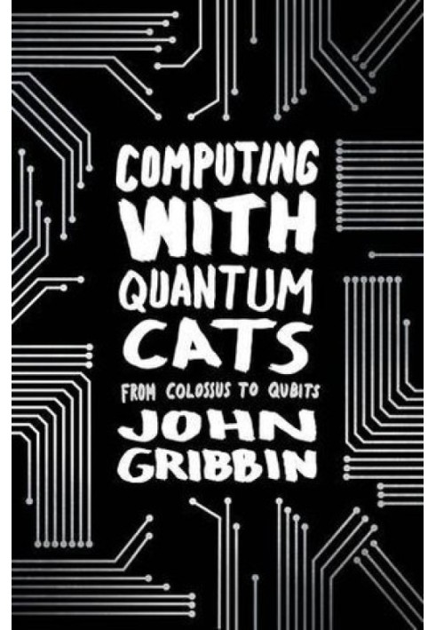 Computing with Quantum Cats: From Colossus to Qubits