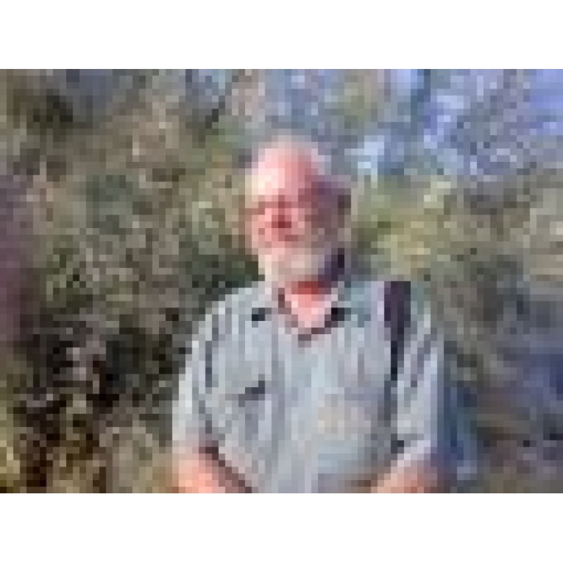 Hunting for the last hare