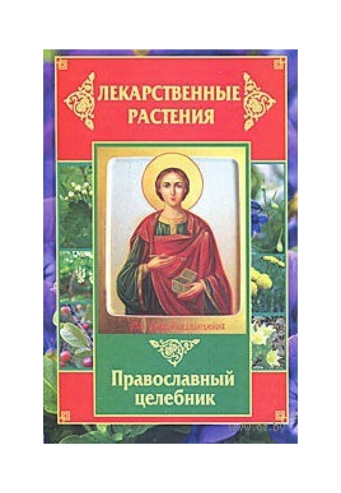 Medicinal plants. Orthodox healer