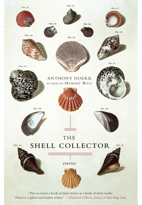 The Shell Collector