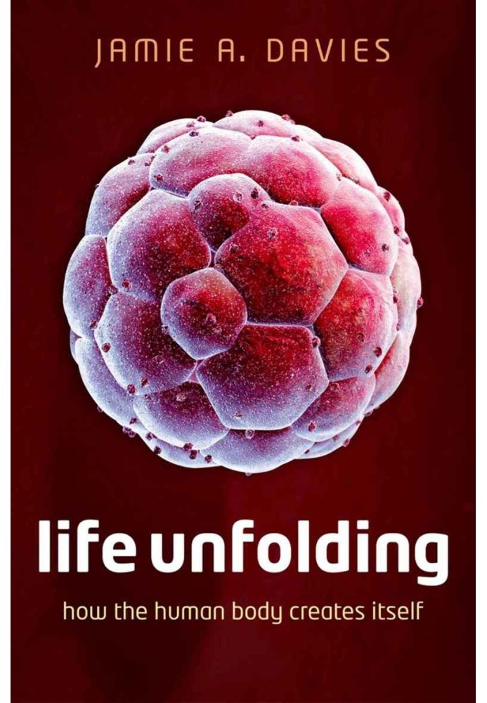 Life Unfolding: How the Human Body Creates Itself