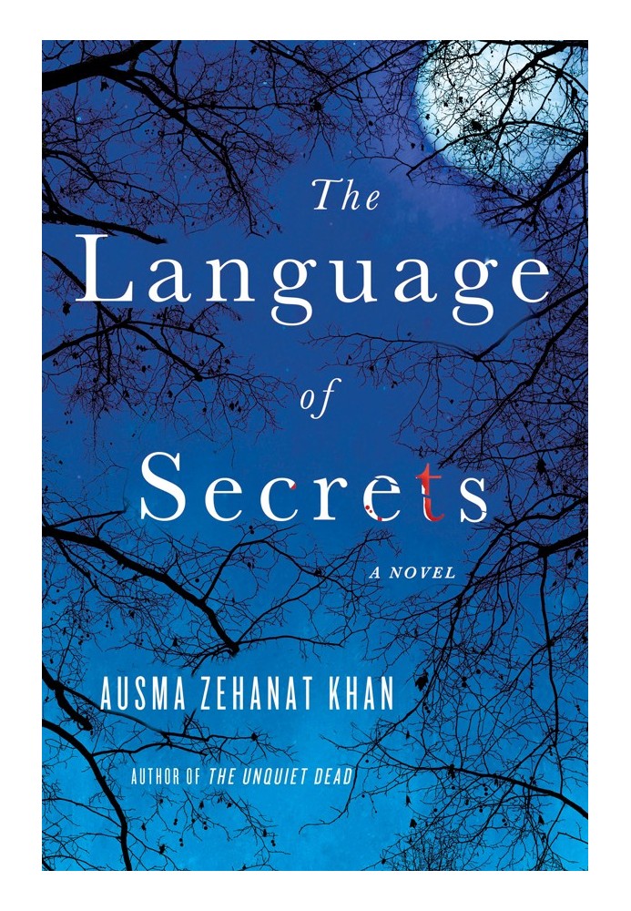 The Language of Secrets