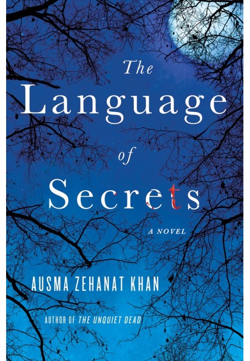 The Language of Secrets