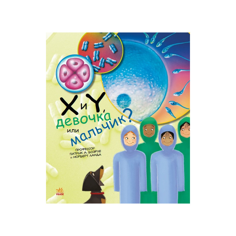 X and Y, girl or boy?