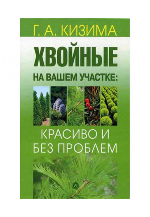 Хвойные на вашем участке: красиво и без проблем