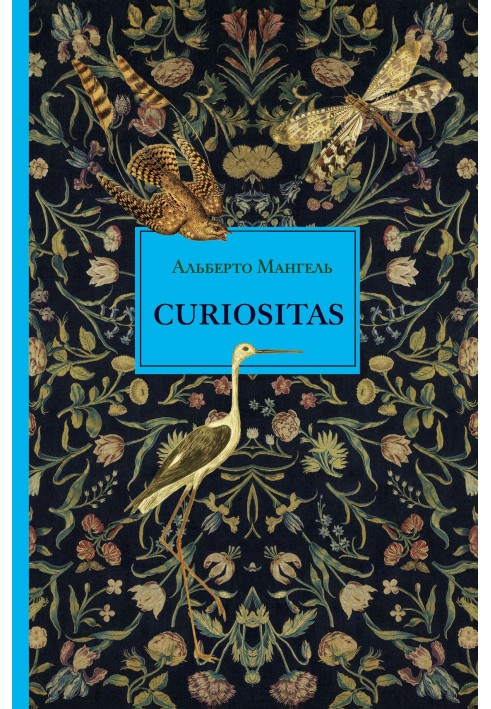 Curiositas. Любопытство