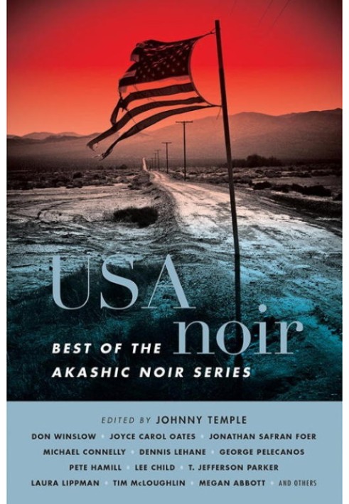 USA Noir: Best of the Akashic Noir Series