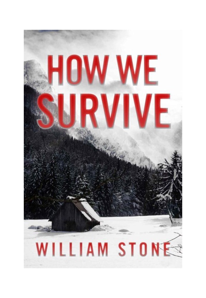 How We Survive: EMP Survival in a Powerless World