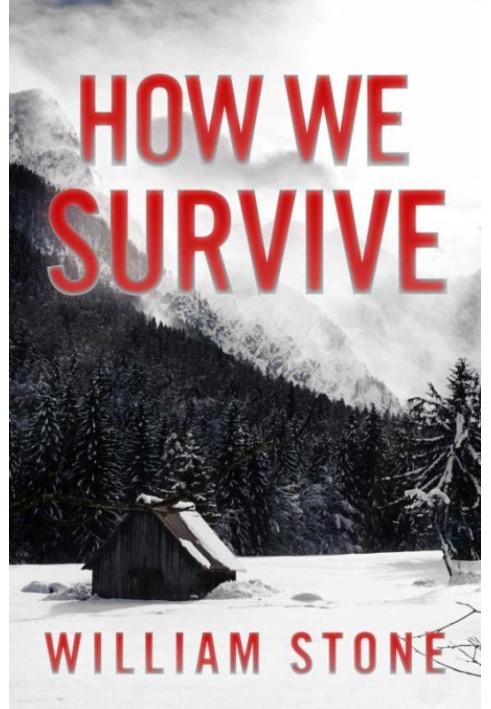 How We Survive: EMP Survival in a Powerless World