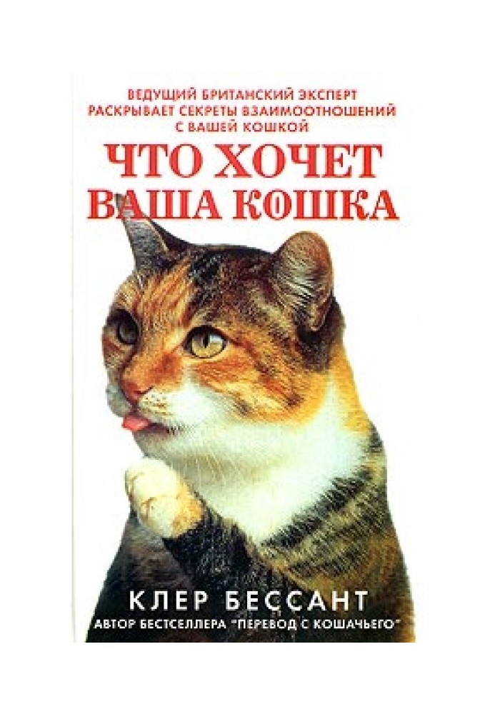 Що хоче ваша кішка: Навчіться розуміти вашу кішку