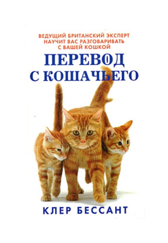 Переклад з котячого: Навчіться розмовляти зі своєю кішкою