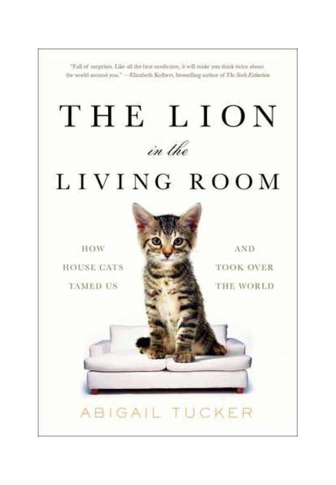 Лев в гостиной: как домашние кошки приручили нас и захватили мир