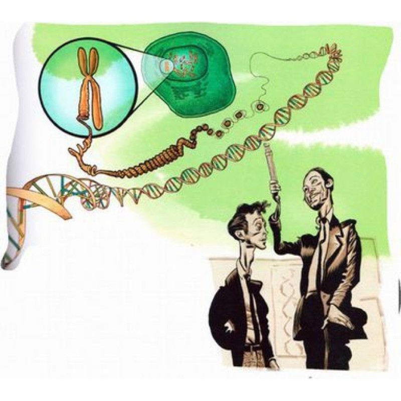 The magic of reality. How...