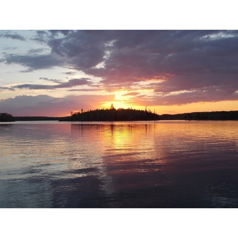 Guardian of the System