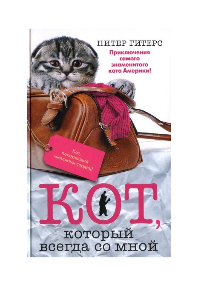 Кот, который всегда со мной