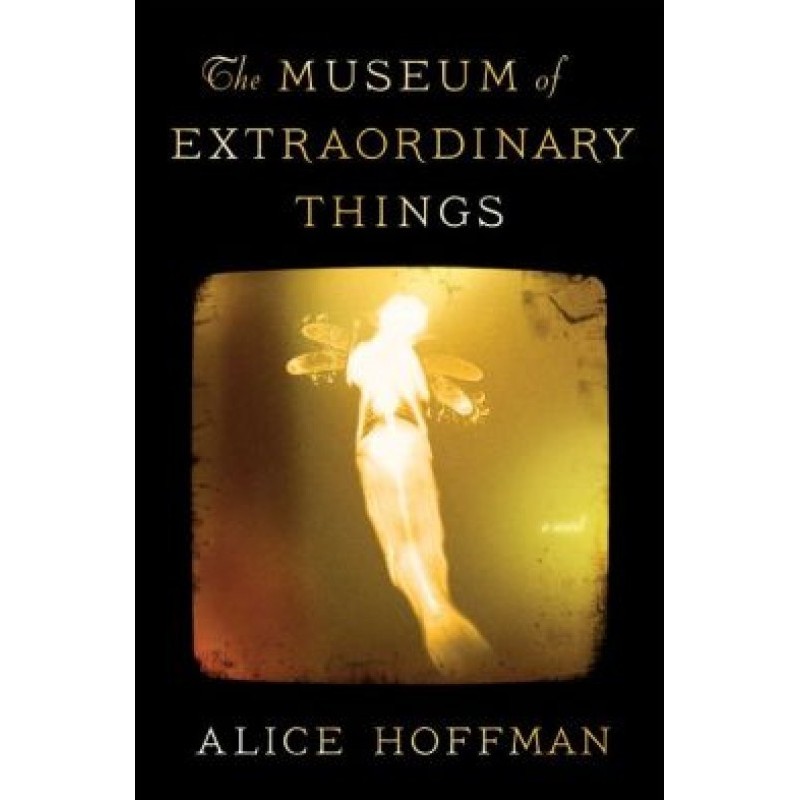 The Museum of Extraordinary...