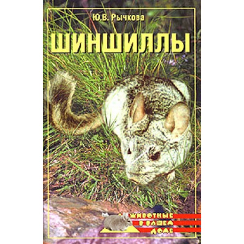 Chinchillas