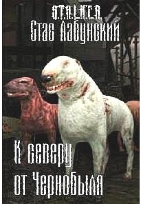 На північ від Чорнобиля