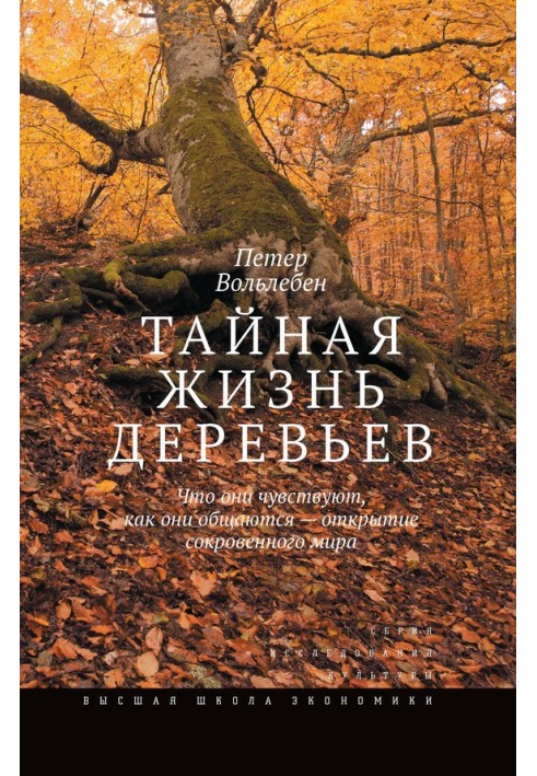 The secret life of trees. What they feel, how they communicate - the discovery of the hidden world