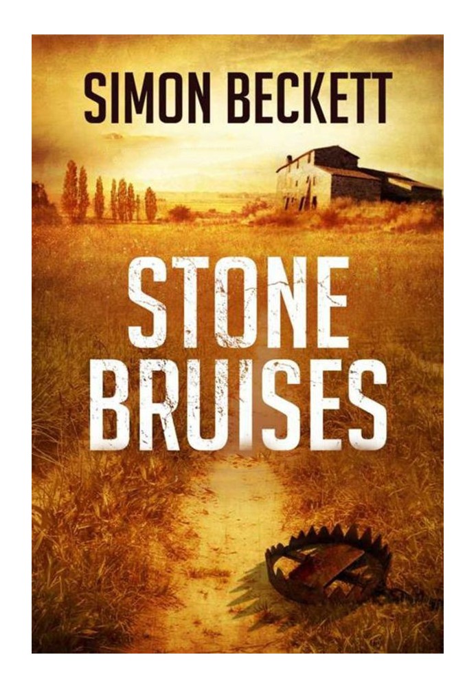 Stone Bruises