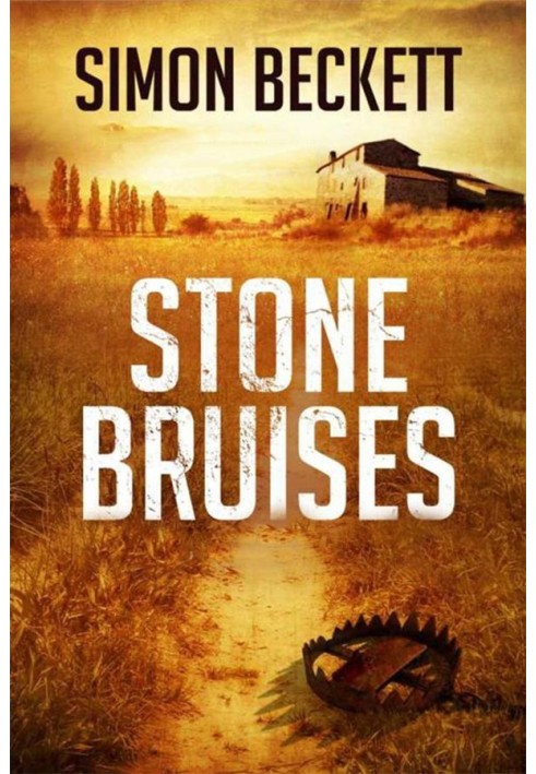 Stone Bruises