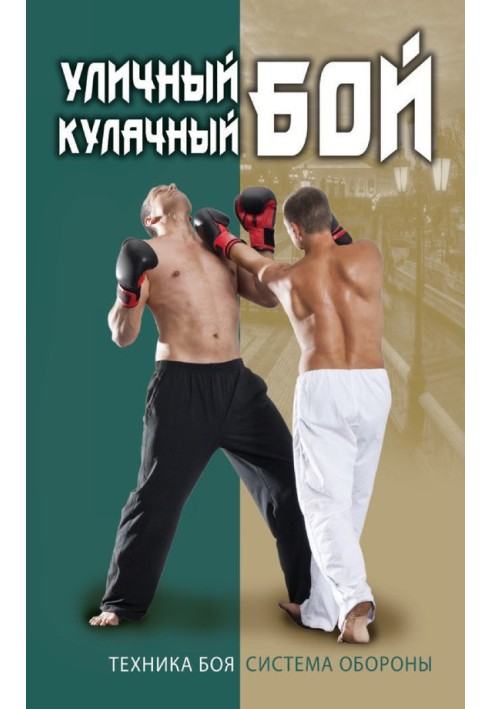 Street fist fight. Fighting technique. Defense system