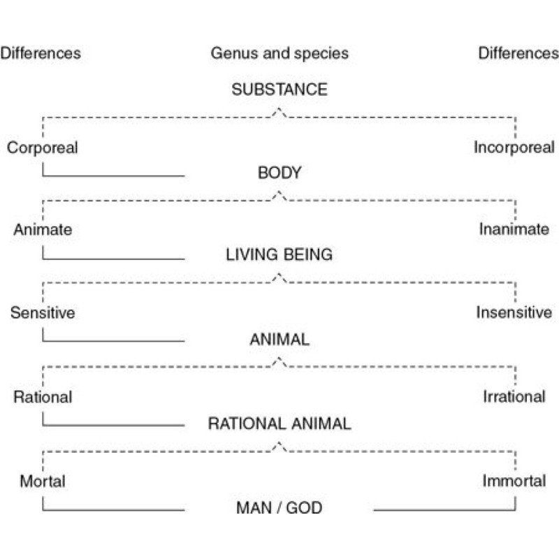 From the Tree to the Labyrinth