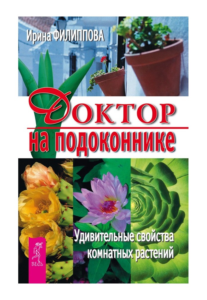 Лікар на підвіконні. Дивовижні властивості кімнатних рослин