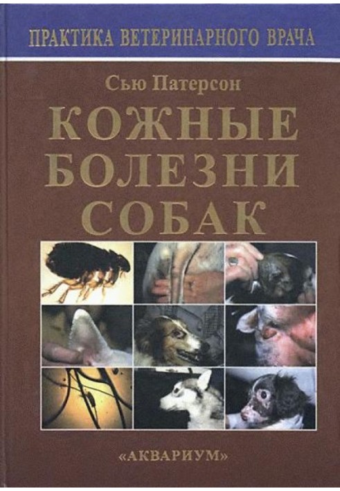 Skin diseases of dogs