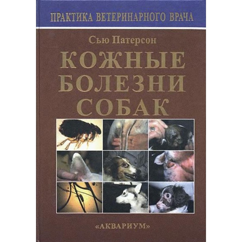 Skin diseases of dogs