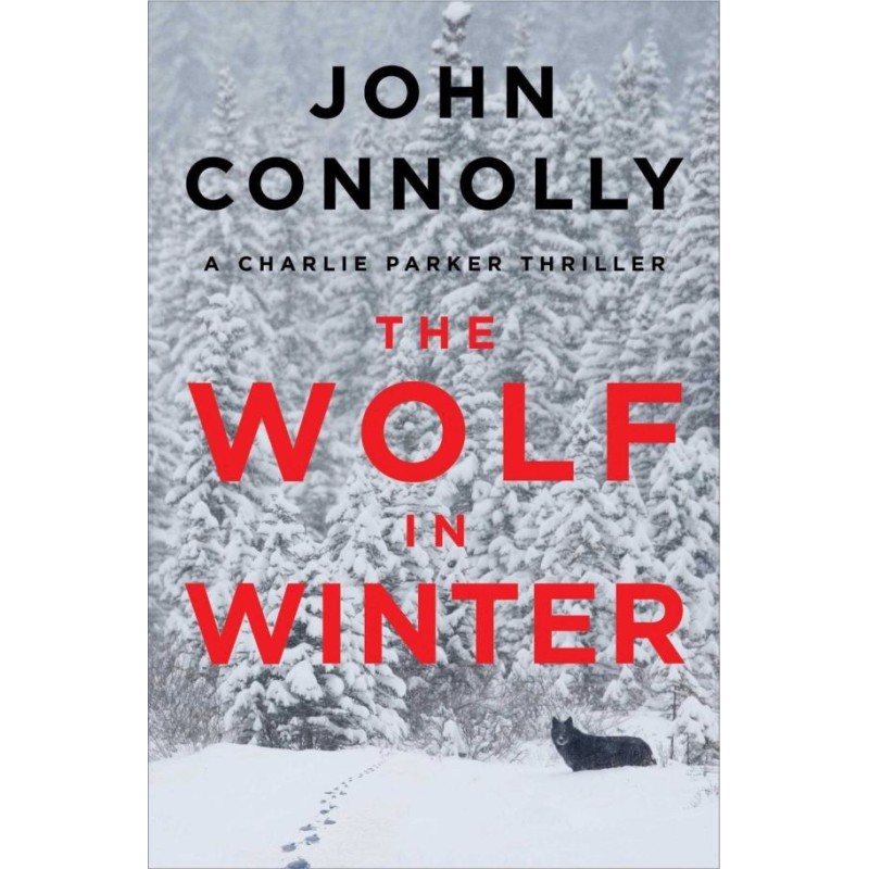 The Wolf in Winter